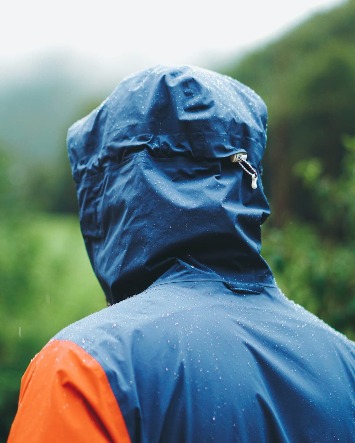 Walker in a blue and orange hooded rain jacket facing green hills